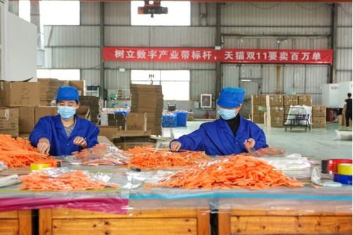 天貓雙11開門紅 產(chǎn)業(yè)帶廠貨成交額同比激增1700%，餐飲服務(wù)迎來消費(fèi)新熱潮
