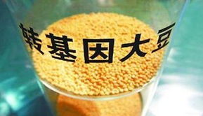 金龍魚陷轉(zhuǎn)基因門風(fēng)波 專家稱安全性尚無定論，對(duì)酒類經(jīng)營有何啟示？